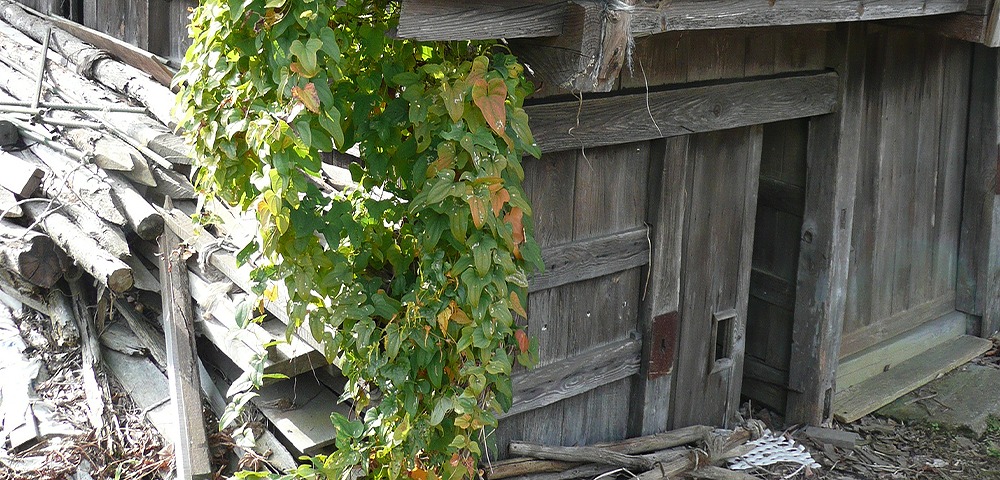相続人がいない場合のリスク 空き家