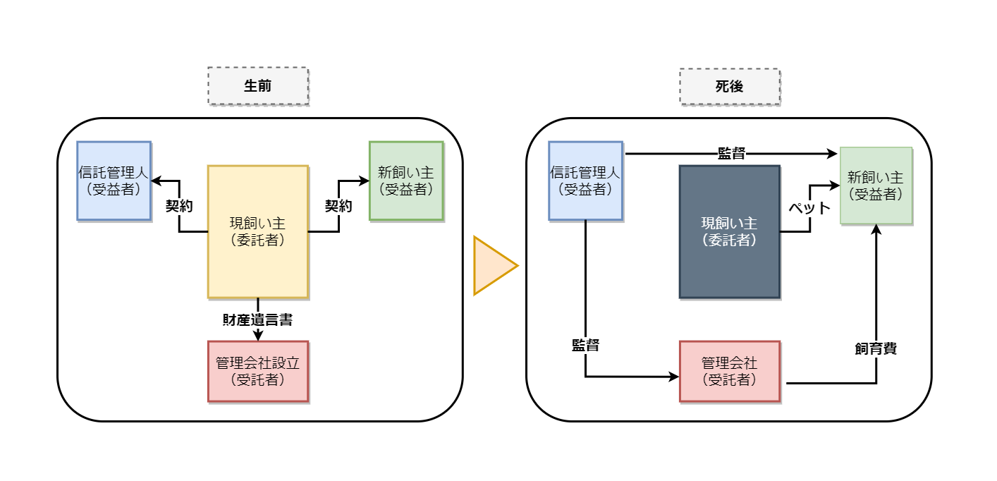 飼い主自身が信託をおこなう場合は、まず財産を管理する会社を設立します。