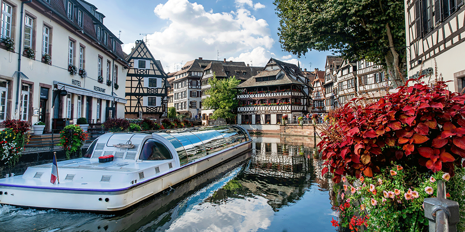 被相続人が外国人の場合、法定相続人の範囲や法定相続分に違いが生じることがある。