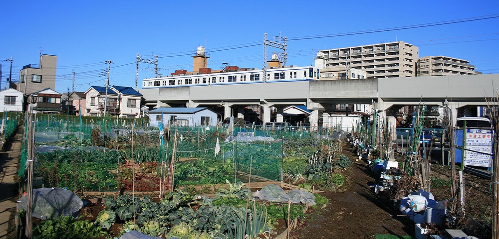農地の相続税には 納税猶予特例の 活用がおすすめ いい相続 相続手続きの無料相談と相続に強い専門家紹介